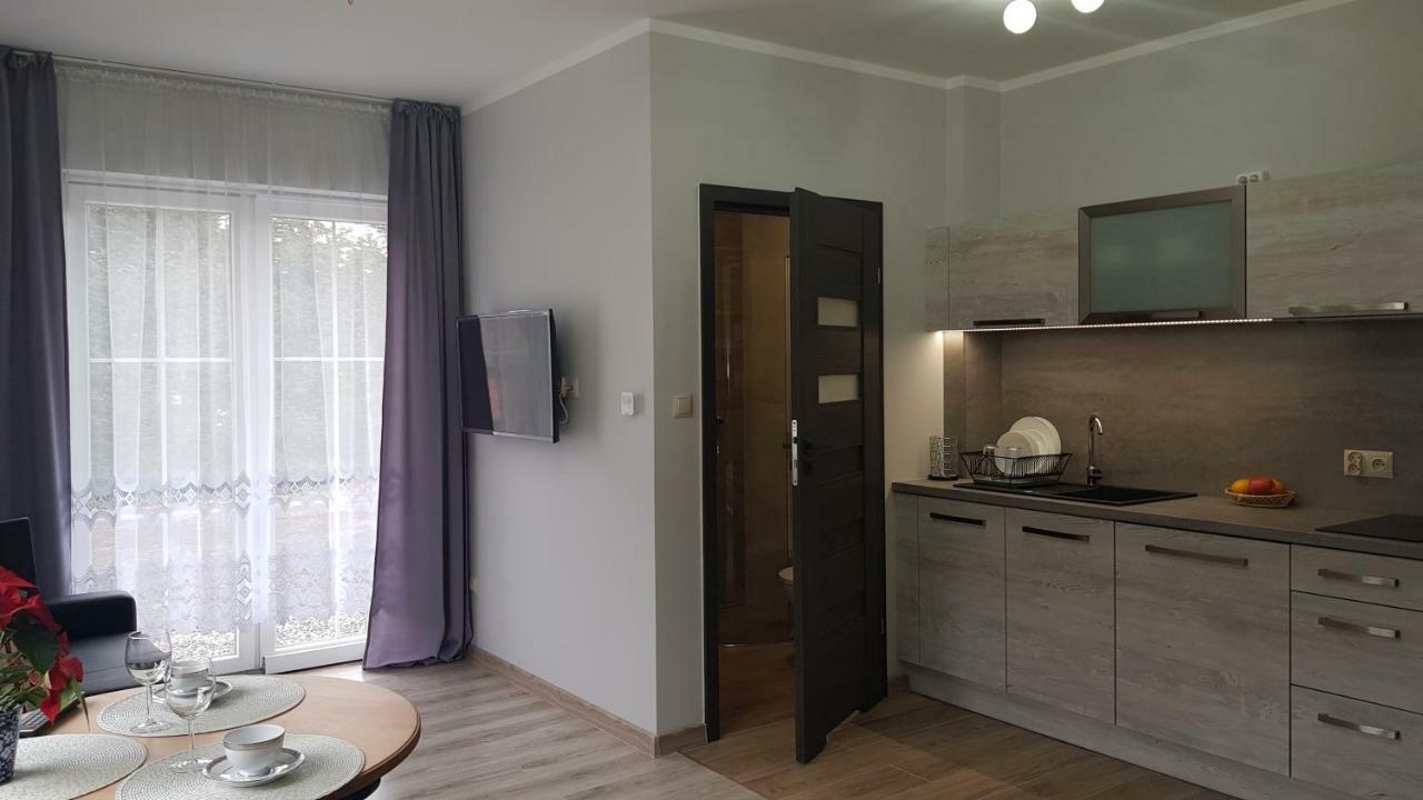 Apartamenty Pod Czyrna シュチルク エクステリア 写真